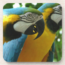 Blue and Gold Macaws Cork Coasters Blue and Gold Macaws Cork Coasters