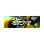 Blue and Gold Macaws Mailing Label