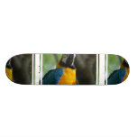 Blue and Gold Parrot Skate Decks