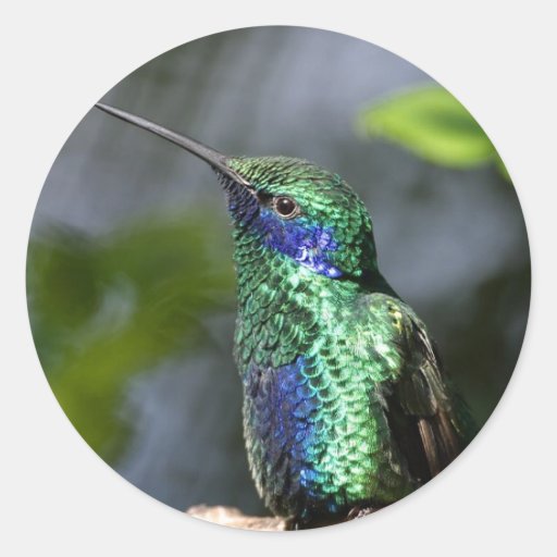 Blue and Green Hummer Sticker