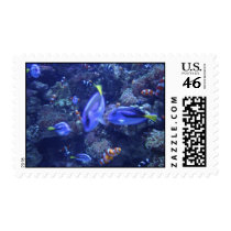 blue and orange fish postage