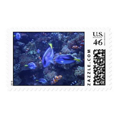 blue and orange fish postage stamp by porter8675309