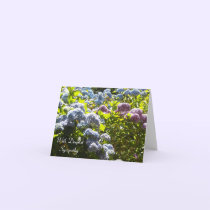 Blue and Pink Hydrangea sympathy cards