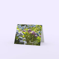 Blue and Pink Hydrangea Thank You cards
