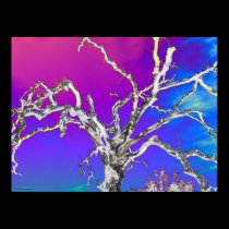 blue and purple oak tree posters