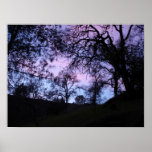 blue and purple sunset obscured by trees print