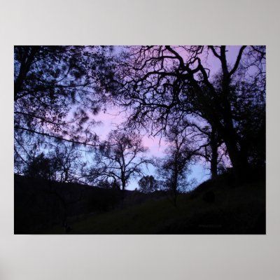 blue and purple sunset obscured by trees print by Web420