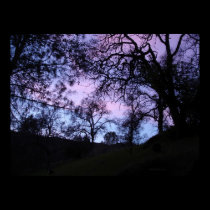 blue and purple sunset obscured by trees posters