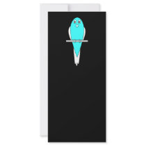 Blue and White Bird. Parakeet. Black. Rack Card