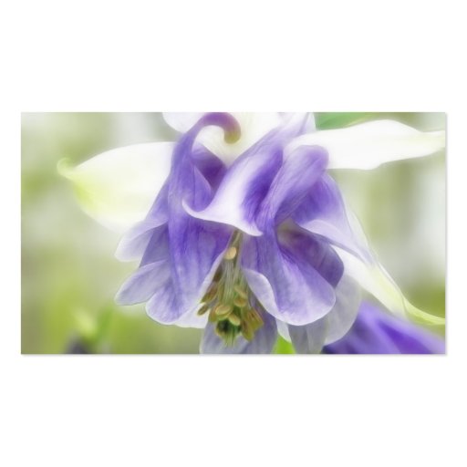 Blue And White Frilly Columbine Business Card (back side)