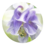 Blue And White Frilly Columbine Round Stickers