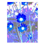 Blue and white graphic of flower photo inverted postcard