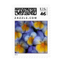 Blue and Yellow Flowers postage stamp - Pansy