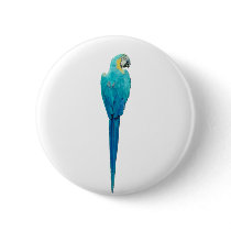 Blue and Yellow Macaw from Junglewalk.com buttons by junglewalkcom Blue and Yellow Macaw from Junglewalk.com buttons
