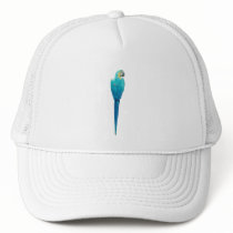 Blue and Yellow Macaw from Junglewalk.com hats