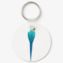 Blue and Yellow Macaw from Junglewalk.com keychains by junglewalkcom Blue and Yellow Macaw from Junglewalk.com keychains