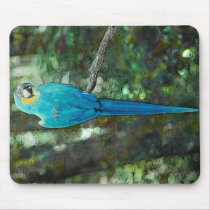 Blue and Yellow Macaw Mousepad from Junglewalk.com