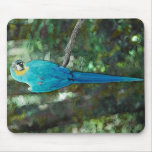 Blue and Yellow Macaw Mousepad from Junglewalk.com