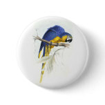 Blue and Yellow Maccaw by Edward Lear Pins