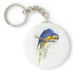 Blue and Yellow Maccaw by Edward Lear Keychain