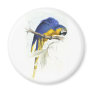 Blue and Yellow Maccaw by Edward Lear Refrigerator Magnet