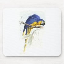 Blue and Yellow Maccaw by Edward Lear Mousepads