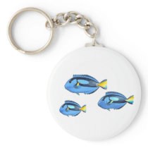 Blue and Yellow Tropical Fish Keychains