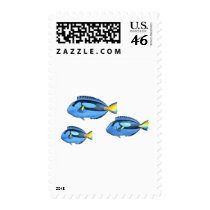 Blue and Yellow Tropical Fish Stamps