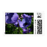 Blue Anemones Postage