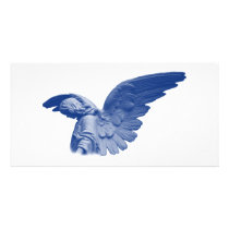 Blue Angel Picture! photo cards by angeria Blue Angel Picture! photo cards
