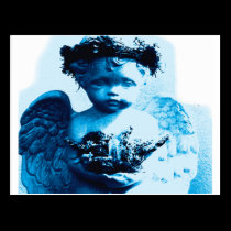 Blue Angel postcards