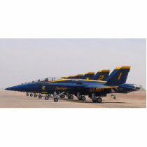 Blue Angels photo sculptures