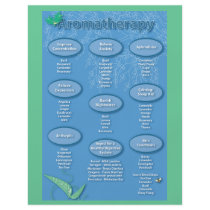 Blue Aromatherapy Chart Flyer