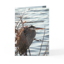 Blue as a Heron cards