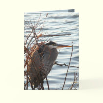 Blue as a Heron cards by MoiraAshleigh Blue as a Heron cards
