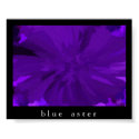 Blue Aster (Abstract Print) by pauljohnkurf Blue Aster (Abstract Print)