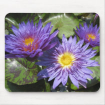 Blue Aster mousepads