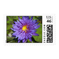 Blue Aster stamps