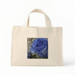 stripe, blue, white, canvas, bag, rose, baby,