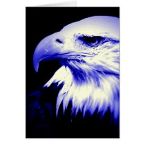 Blue Bald Eagle Cards