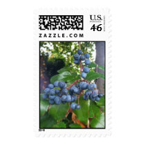 Blue Barry Postage Stamps