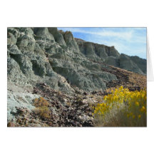 Blue Basin Greeting Card