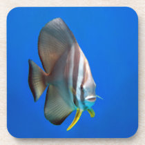 Blue Bat Fish Beverage Coaster
