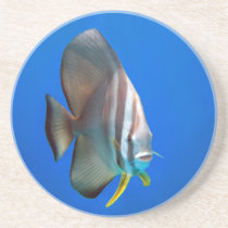 Blue Bat Fish Beverage Coasters