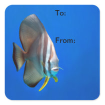 Blue Bat Fish Gift Tag Stickers