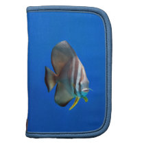 Blue Bat Fish Planner