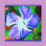 Blue Beauty magnets