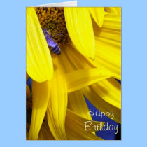Blue Bee on Yellow sunflower -Birthday Card cards