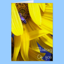 Blue Bee on Yellow sunflower -Thinking Of You Card cards