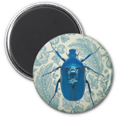 blue beetle bug